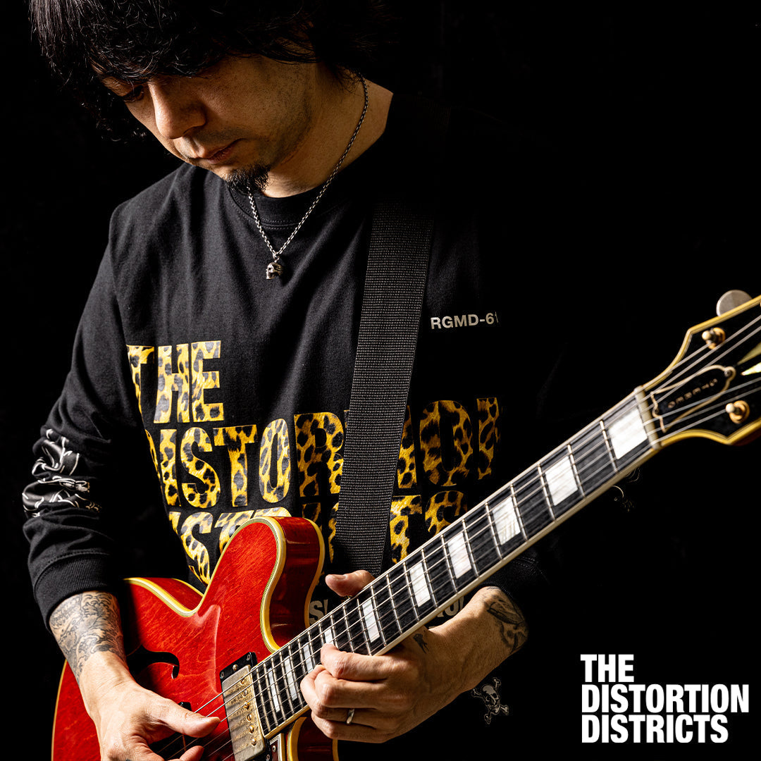 THE DISTORTION DISTRICTS