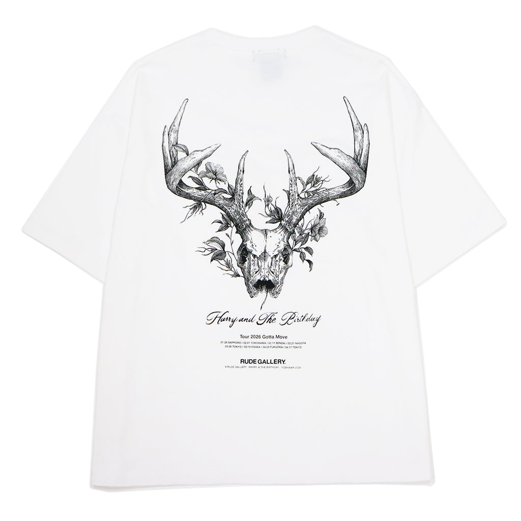 HARRY＆THE BIRTHDAY TOUR BIG TEE – RUDE GALLERY OFFICIAL ONLINE SHOP