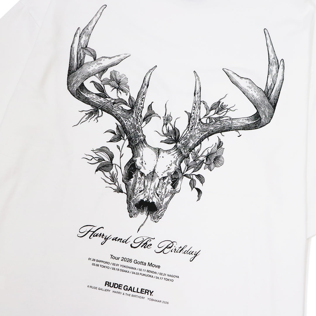 HARRY＆THE BIRTHDAY TOUR BIG TEE – RUDE GALLERY OFFICIAL ONLINE SHOP