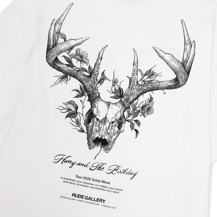 HARRY＆THE BIRTHDAY TOUR BIG TEE