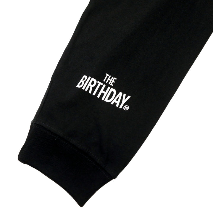 THE BIRTHDAY 20ANV JAPAN MAP LS